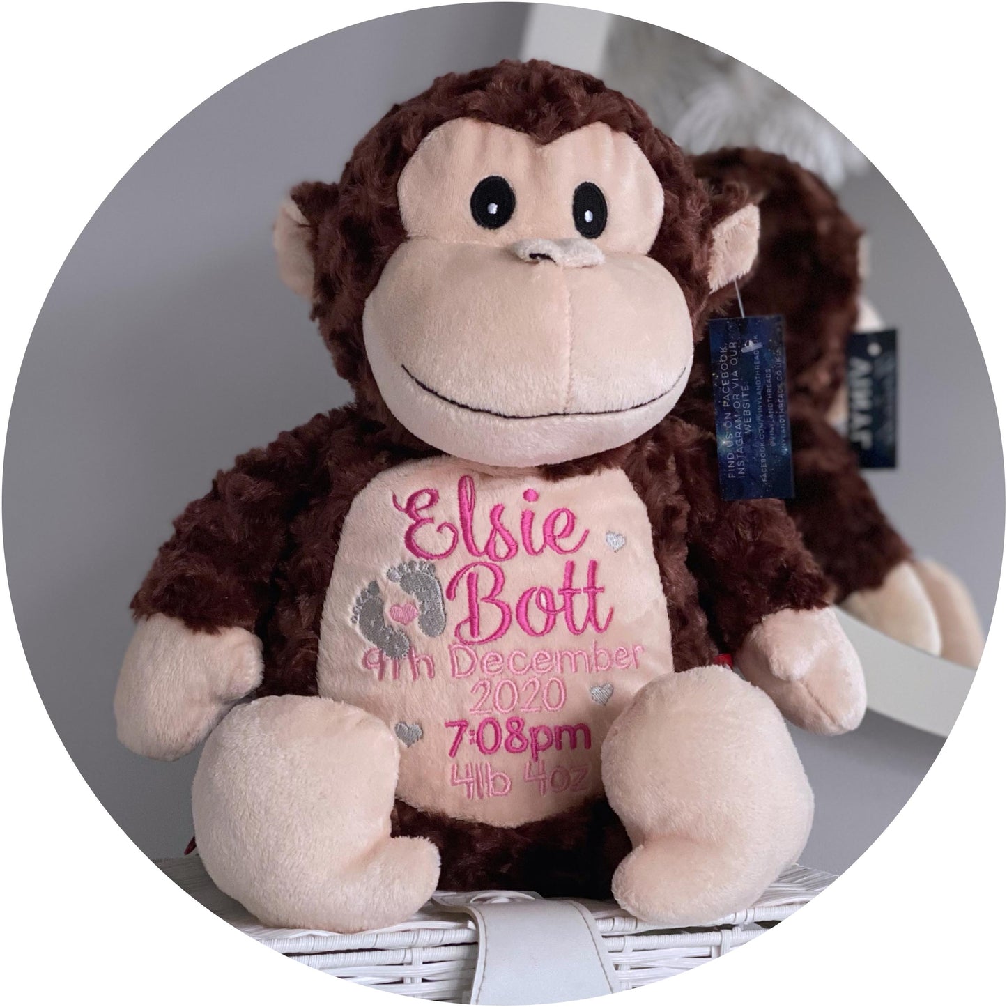 Huggles the Monkey Cubby
