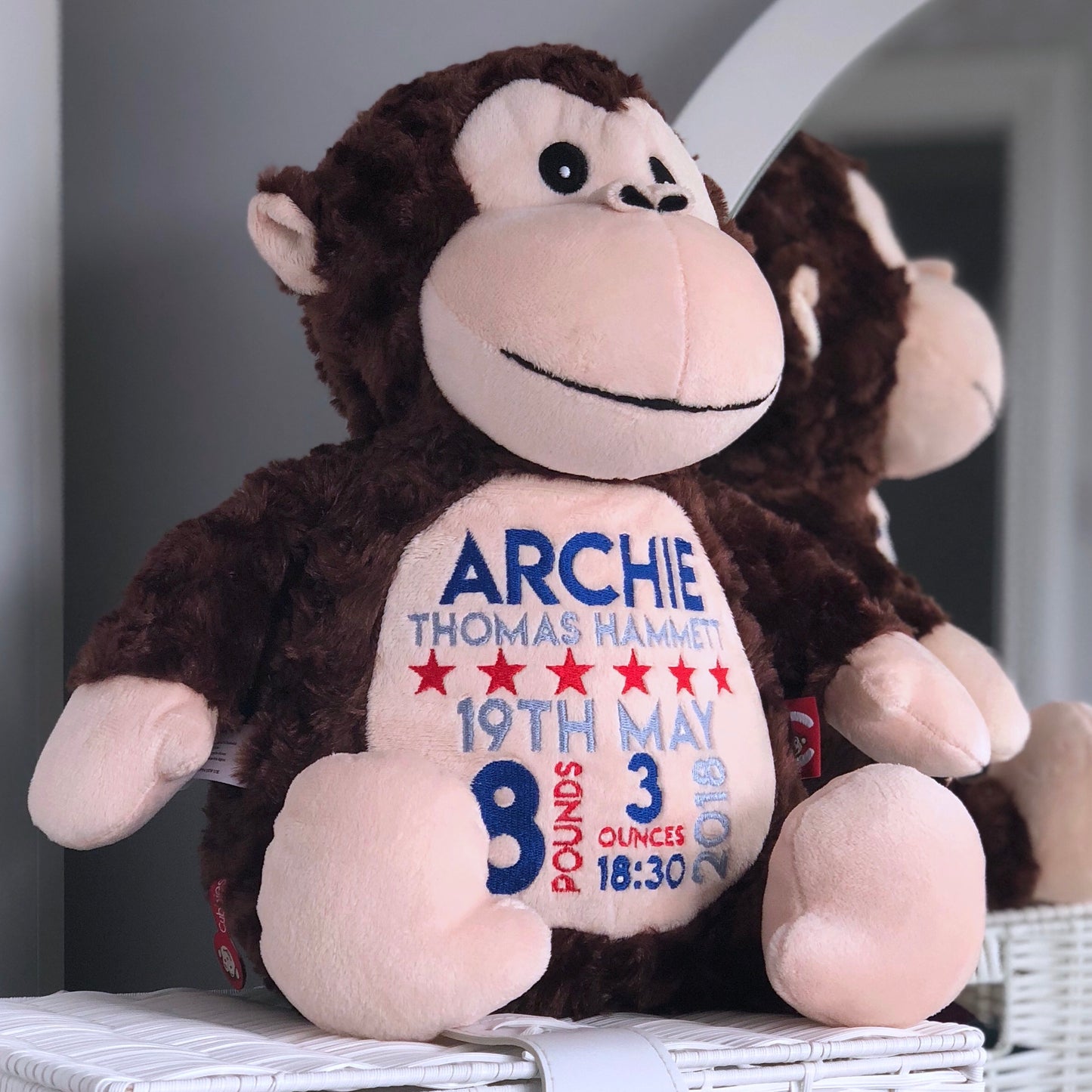 Huggles the Monkey Cubby