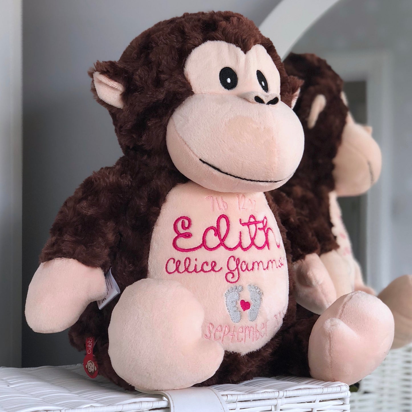 Huggles the Monkey Cubby