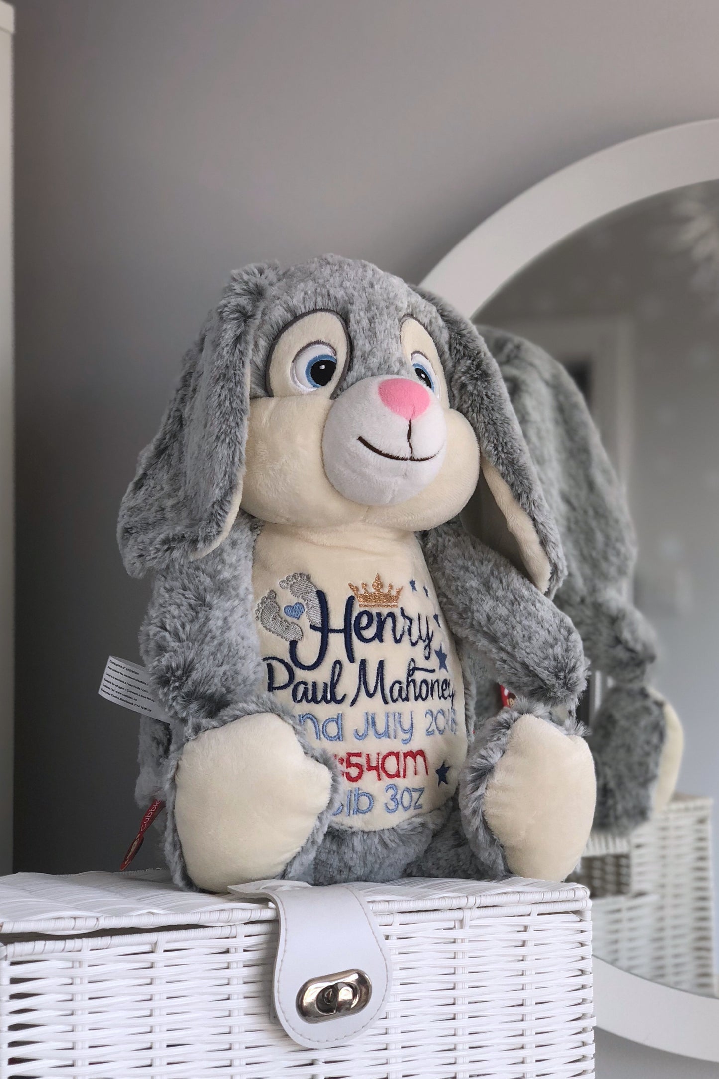 Clovis Brampton III the Grey Bunny Cubby