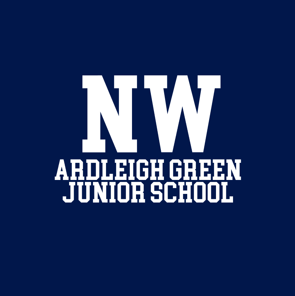 Ardleigh Green Junior School 2022 Leaver Hoodies